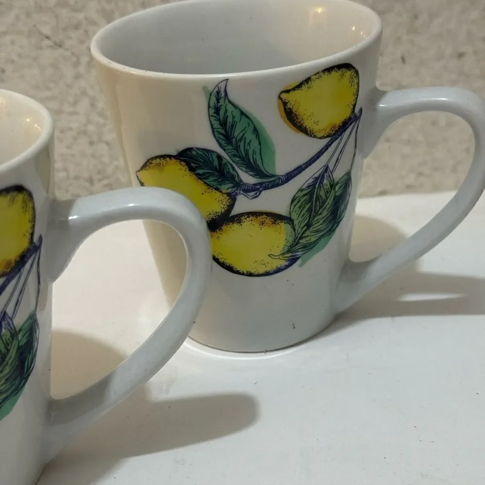4 Sonoma Life & Style lemon  Coffee Mug